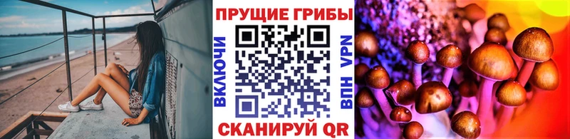 как найти закладки  Котельнич  Галлюциногенные грибы ЛСД 
